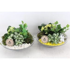 arr2 PL - Glas schaal 23cm - geel/wit