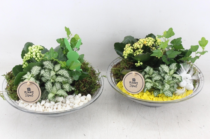 <h4>arr2 PL - Glas schaal 23cm - geel/wit</h4>