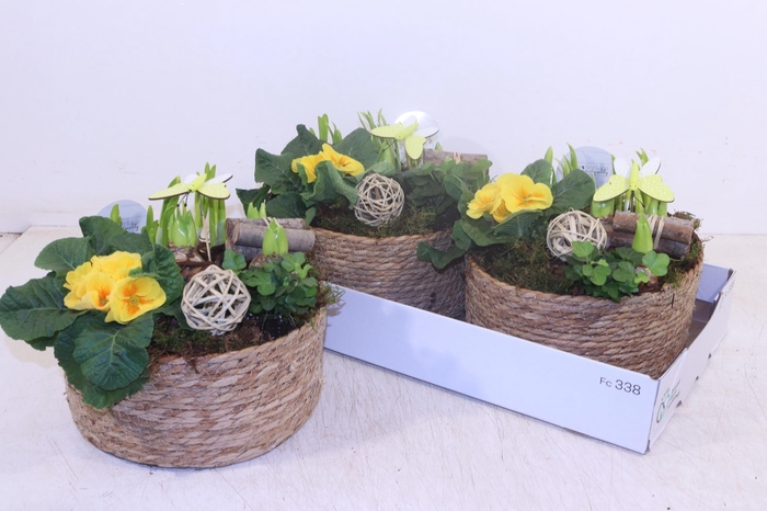 <h4>ARR TUINPLANTEN</h4>