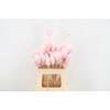 Stick Heart Fabric 7cm Pink