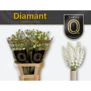 DELPH DU DIAMANT 90CM X30