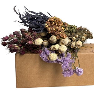 Droogbloem DIY box assorti 60-75cm
