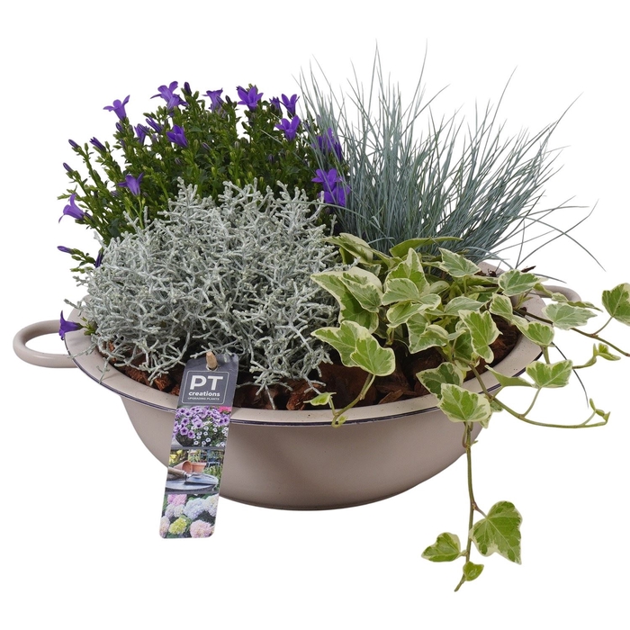 <h4>Arr.   Tuinplanten L%</h4>