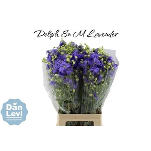 DELPH EN M LAVENDER