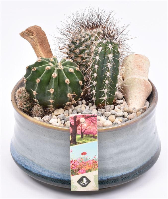 <h4>Keramiek schaal blauw/grijs 18cm</h4>