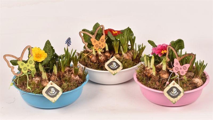 <h4>Zink schaal kl.mix 22cm</h4>