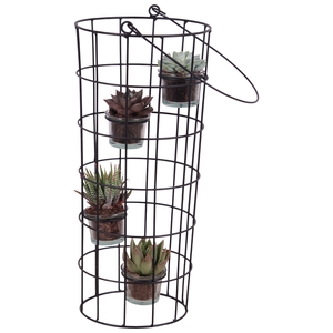 Opm Metal Wirebasket With Glass