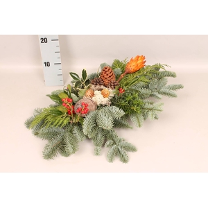 Natuur tak Red 60/40T