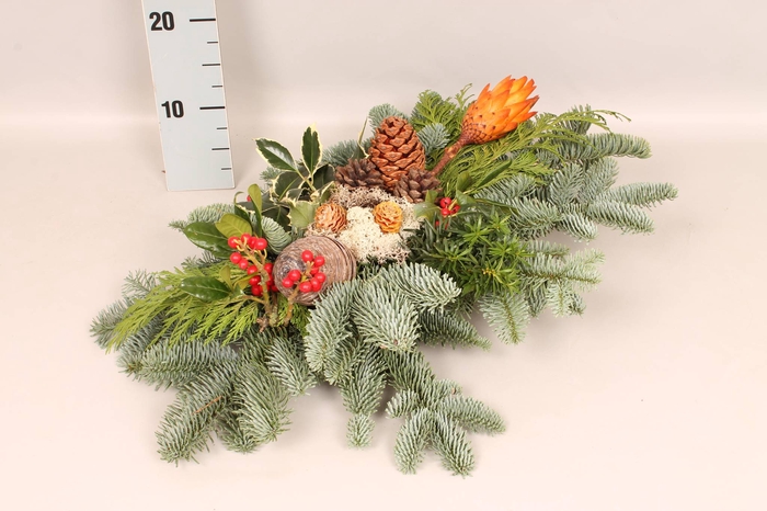 <h4>Natuur tak Red 60/40T</h4>