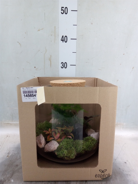 <h4>Arr.   Planten H%</h4>