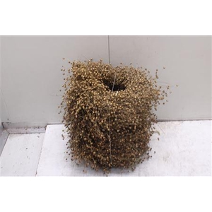 Krans Vlas Natuur 30 Cm