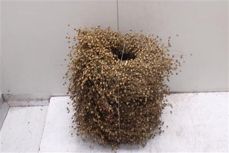 <h4>Krans Vlas Natuur 30 Cm</h4>
