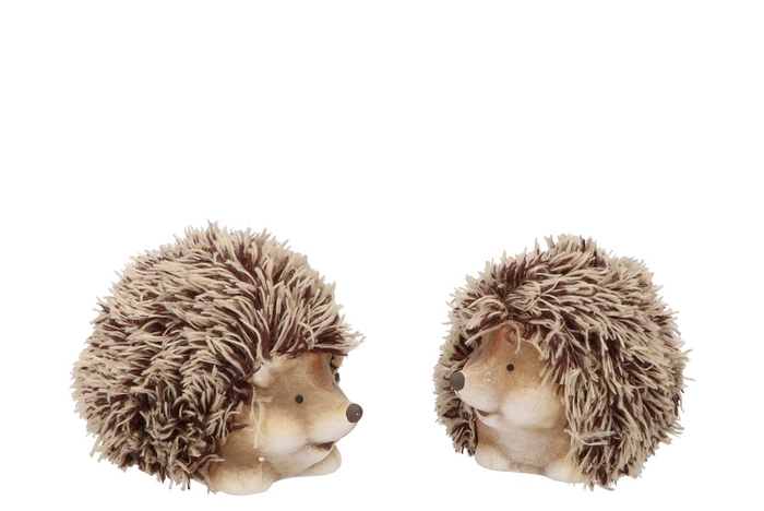 <h4>Hedgehog Wolly Duo Ass 13x8x8cm</h4>