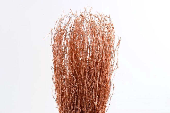 <h4>Berk Klb Copper</h4>