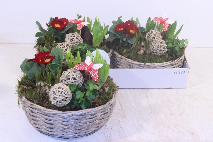 <h4>ARR TUINPLANTEN</h4>