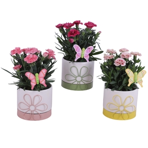 Spring Flower Arr. Outdoor Ceramic Flowerframe Pot Mix Ø10cm 1PP