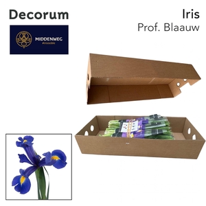 Iris Prof. Blaauw Pre-Packed Decorum