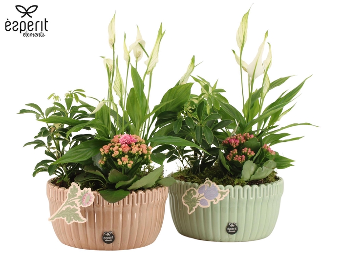 <h4>22139: Contradiction arrangement</h4>