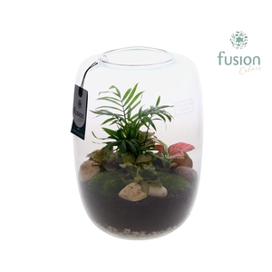 Green Bottle Isabella XLarge met arrangement