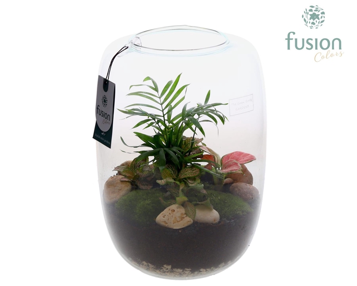 <h4>Green Bottle Isabella XLarge met arrangement</h4>