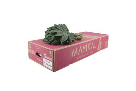 <h4>Aralia 35</h4>