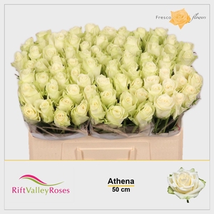R GR ATHENA