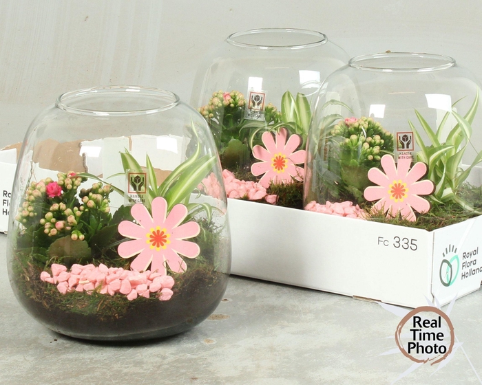 <h4>ARR KAMERPL</h4>