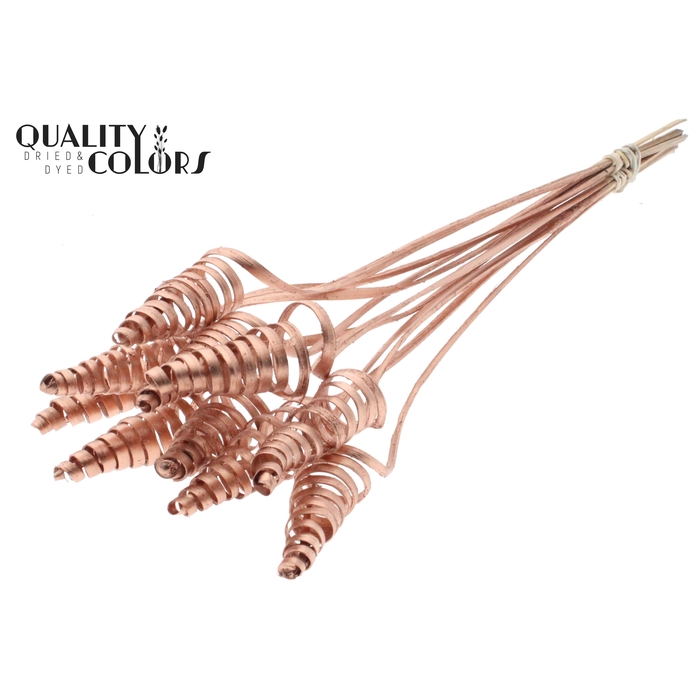 <h4>Cane Cone on stem Copper</h4>