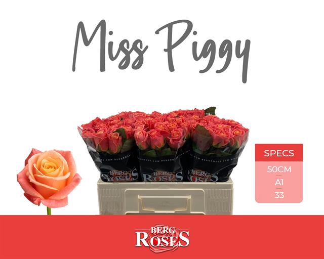 R Gr Miss Piggy+