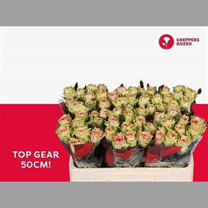R Gr Top Gear!