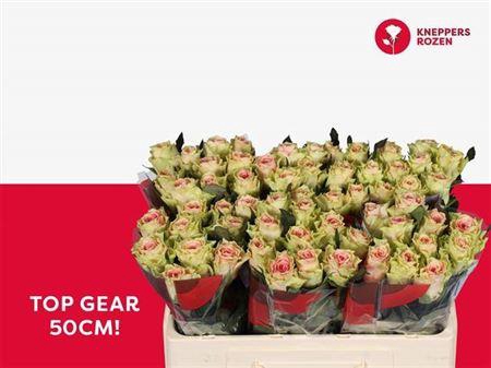 <h4>R Gr Top Gear!</h4>