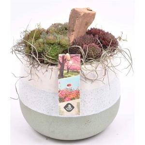 Keramiek pot wit/gr 14-15cm