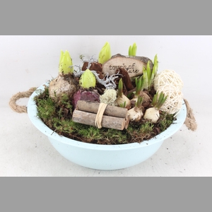 arr4 Bollenmix VL - Zink schaal l.bleu oor x2