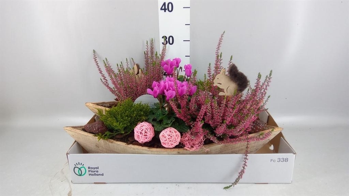 <h4>Arr.   Tuinplanten L%</h4>