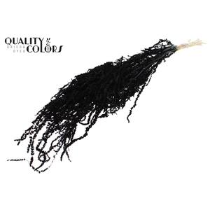 Hang Amaranthus ±70cm Preserved per bunch Bleached Black