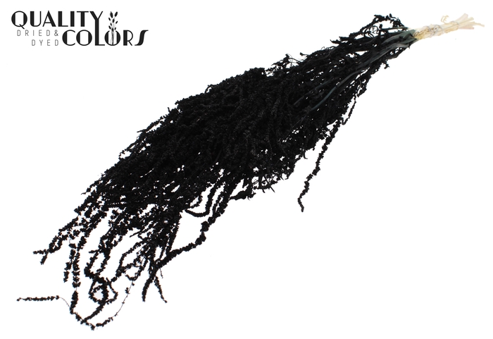 <h4>Hang Amaranthus ±70cm Preserved per bunch Bleached Black</h4>