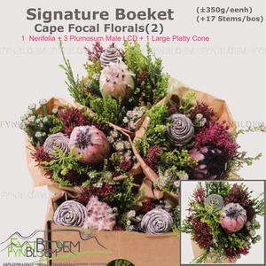 PROTEA PER BOS