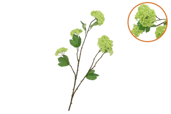 <h4>Silk Viburnum Green 69cm</h4>