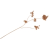 Silk Cherry Blossom Gold 85cm Nm