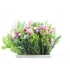 Protea Boeket