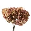 Hydrangea / Hortensia Nat.Cream / Pink HRT/2040