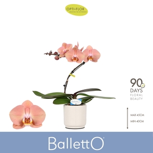 Balletto Sway 1 spike in Lazio White