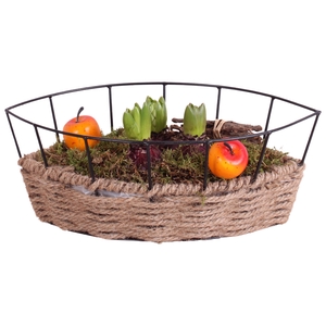 Opm Bulbs Winter Arr. Hyacint Metal Frame Rope Pot