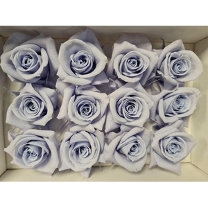 Ro Pres Mini Lavender