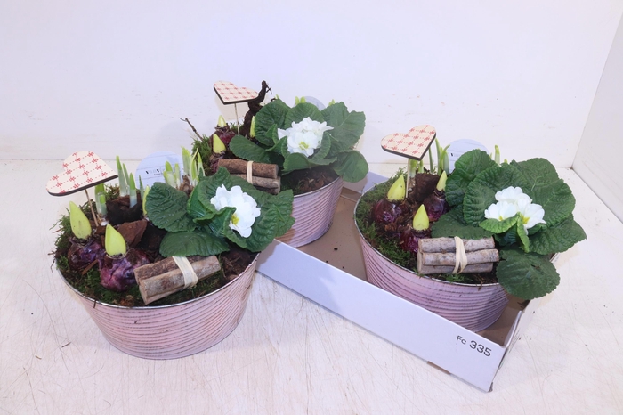 <h4>ARR TUINPLANTEN</h4>