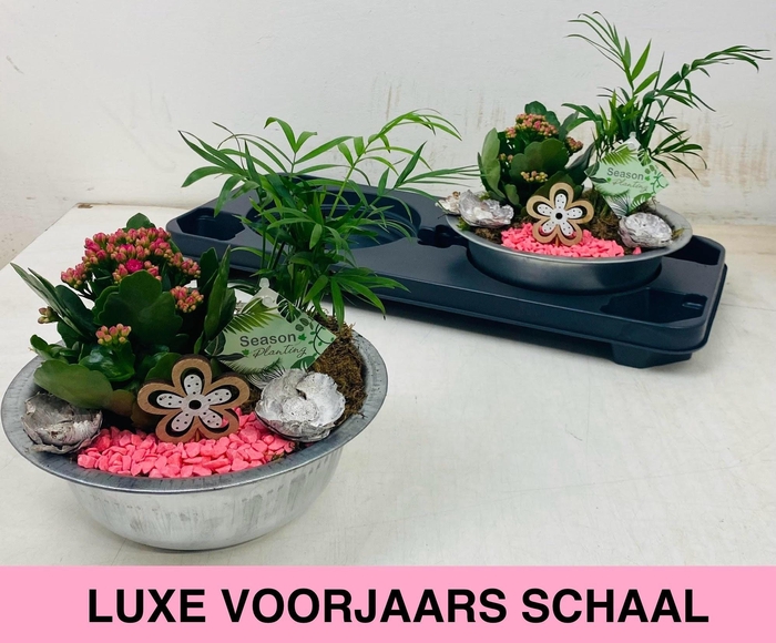 <h4>ARR KAMERPL</h4>