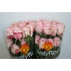 R GR PINK OHARA Welyflor