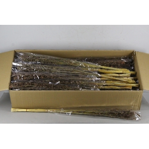 DF Trill Grass Bs 50gr