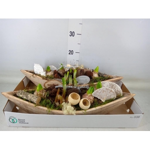 Arr.   Bol/Knolgewas L%