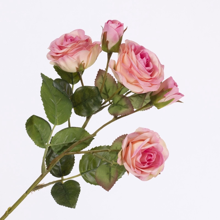 <h4>Rosa Spray Pink FL440242PNK</h4>